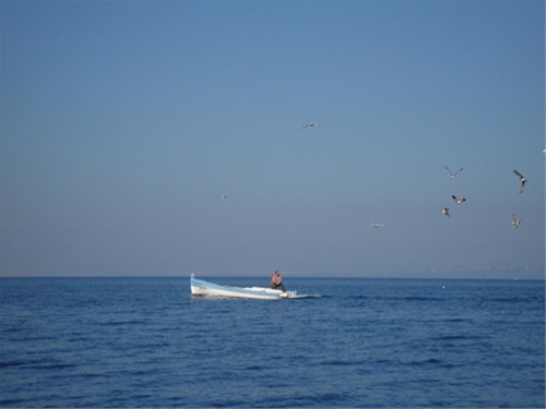 Island Losinj