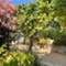 Isola Lussino - app Malin