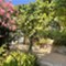 Isola Lussino - app Malin