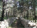 island losinj