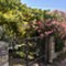 Isola Lussino - app Malin