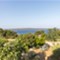 Isola Lussino - Villa Amorosa