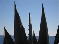 Isola Lussino Isola Lussino